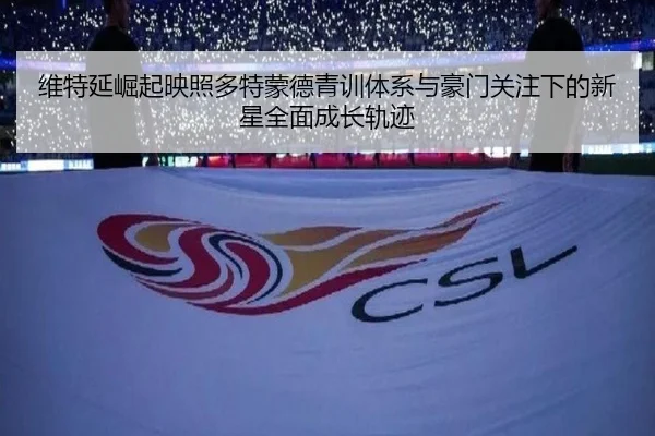 维特延崛起映照多特蒙德青训体系与豪门关注下的新星全面成长轨迹